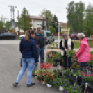 Anyámtyúkja - Csemő