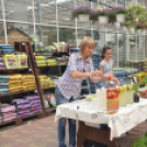 Rózsák Hétvégéje - Oázis Kertészeti Áruház