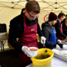 Infineon ételosztás