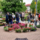 Anyák napi virágvásár és Anyám tyúkja főzőverseny