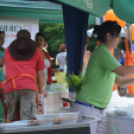 Bor és laskafesztivál - I