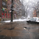 Csőtörés a Múzeum utcában