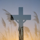 Az ismeretlen Cegléd