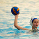 Ceglédi Vasutas Sport Egyesület - HVSC (Hódmezővásárhely) 11 - 6