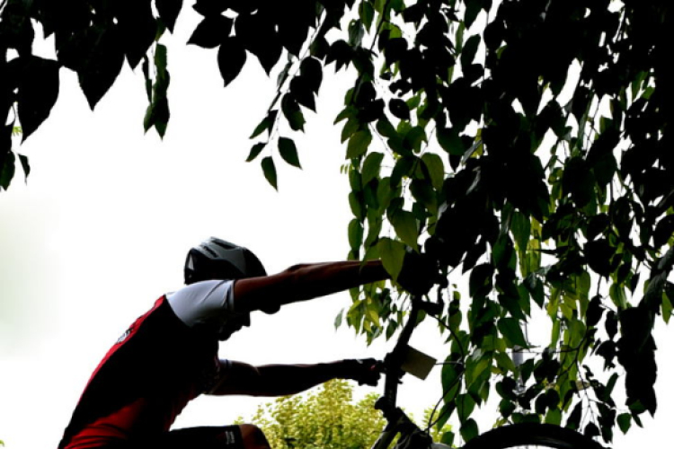 Nemzetközi Triál Bajnokság Cegléden