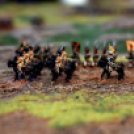 Csudáknak éve - kiállítás a Ceglédi Galériában