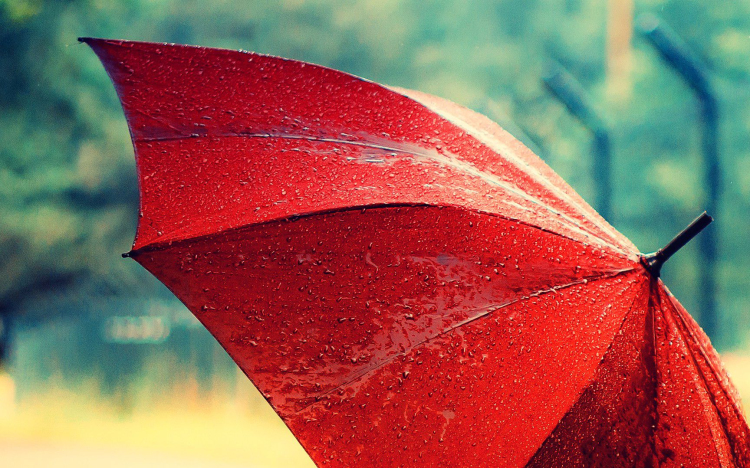 Ma se hagyd otthon az esernyődet!