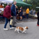 Rossz időben is jó hangulat