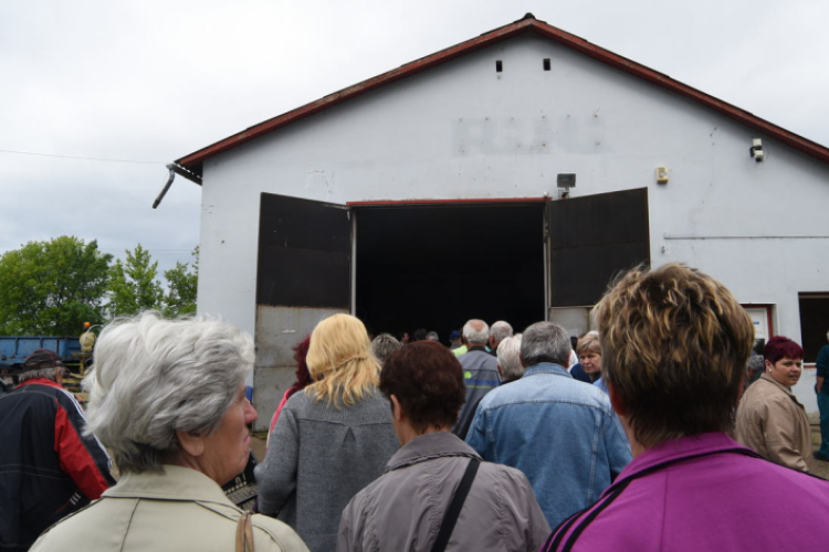 Szebb, virágosabb Ceglédért