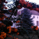 BAÁN KATALIN fotókiállítása(telefonos fotóriport)