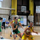 CEGLÉDI EKK – CMB CARGO GYŐR 66–74