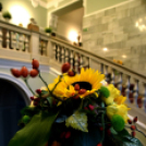 Legszebb kertek - legszebb rajzok Cegléden