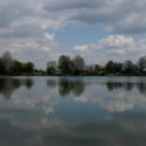 Éhmann Ferenc Emlék Kupa