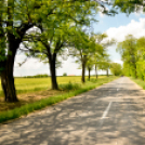 Nyitott Pince Napok - Kökény és Fia Családi Borászat