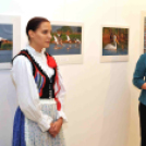 A Duna-Delta Szárazföldi- és Vízi Madárvilága