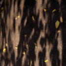 Halló Cegléd! - itt-ott