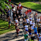 Megyei futó- és gyalogló nap