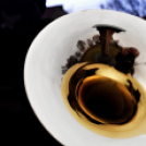 Vadászok Bora választás 2020