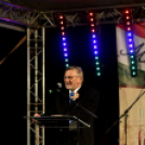 Fáklyás felvonulás