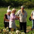 Színpompás bemutató