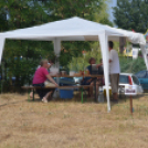 Bor és laskafesztivál - I