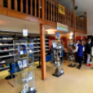 Olimpikonok kiállítás