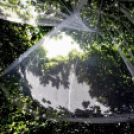 Csemőben is járt a nemzetközi zsűri