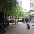 Utcazene fesztivál és koncertek