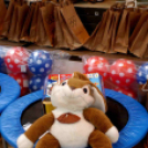 Ceglédi Ovi Olimpia