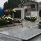 Zsengellér Gyula újratemetése II.