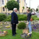 Ments meg egy árvácskát!