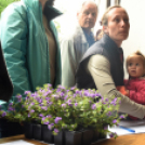 Szebb, virágosabb Ceglédért