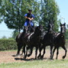 IX. Bor és Laskafesztivál - IV. Ceglédi Vágta