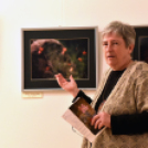 Felfüggesztett pillantásaim - Baán Katalin kiállítása Dabason 