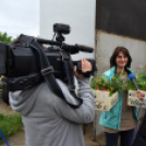 Szebb, virágosabb Ceglédért