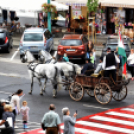 Hagyományőrző felvonulás