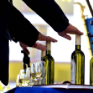 Kossuth Toborzó - Cegléd Város Díszpolgára