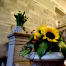 Legszebb kertek - legszebb rajzok Cegléden