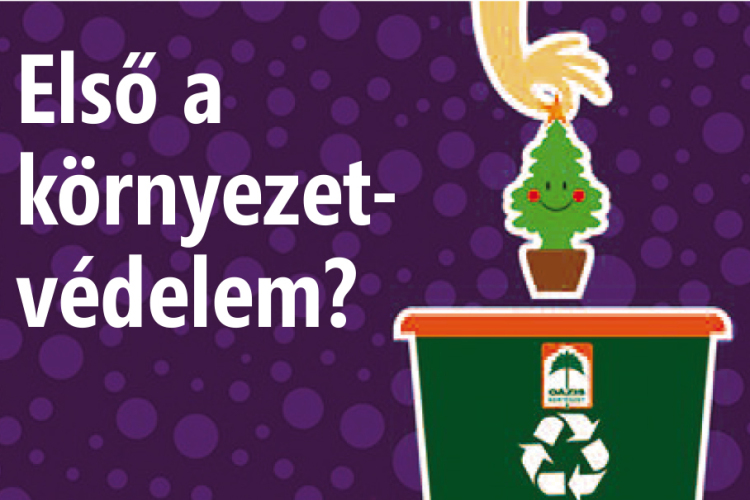 Karácsonyfát ingyen?