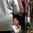 Betlehemi jászol pályázat