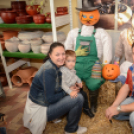 Családi tökfaragás - Oázis Kertészeti Áruház