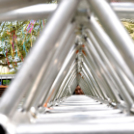 A város májusfája