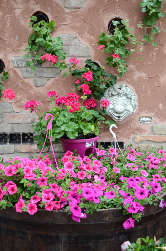 Oázis Kertészeti Áruház