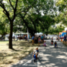 Újvárosi Közlekedési és Sportnap