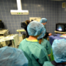 Nyílt nap a Toldy Ferenc Kórházban 