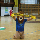 Ceglédi KKSE – Mezőkövesdi KC: 30-24 (11-17)