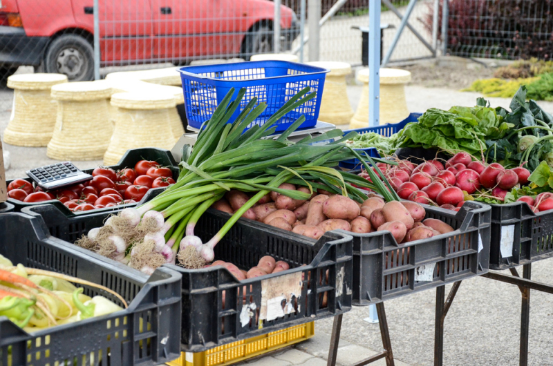 Oázis Kertészeti Áruház