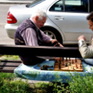 A város májusfája