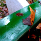 Ősz a Gubody parkban