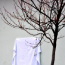 Táblaavatás a Táncsicsban